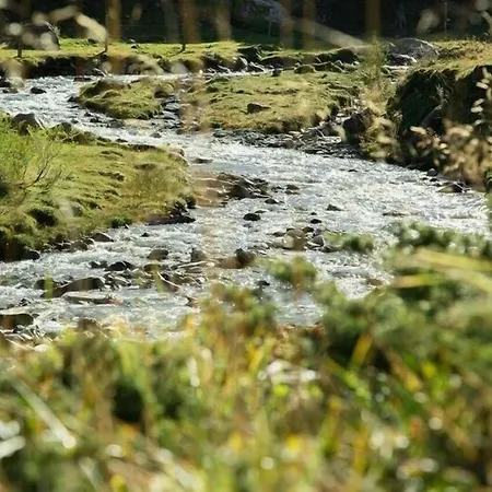 Hotel Walcher Dorfgastein